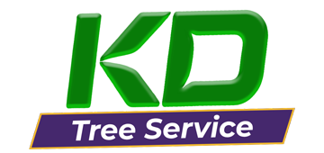 KD Tree Services