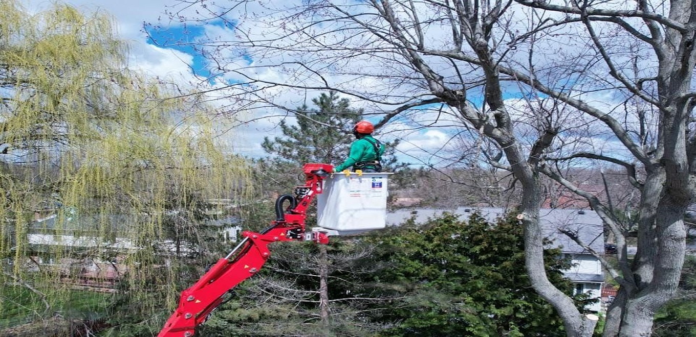 You are currently viewing Emergency Tree Services: Ensuring Safety and Swift Tree Removal