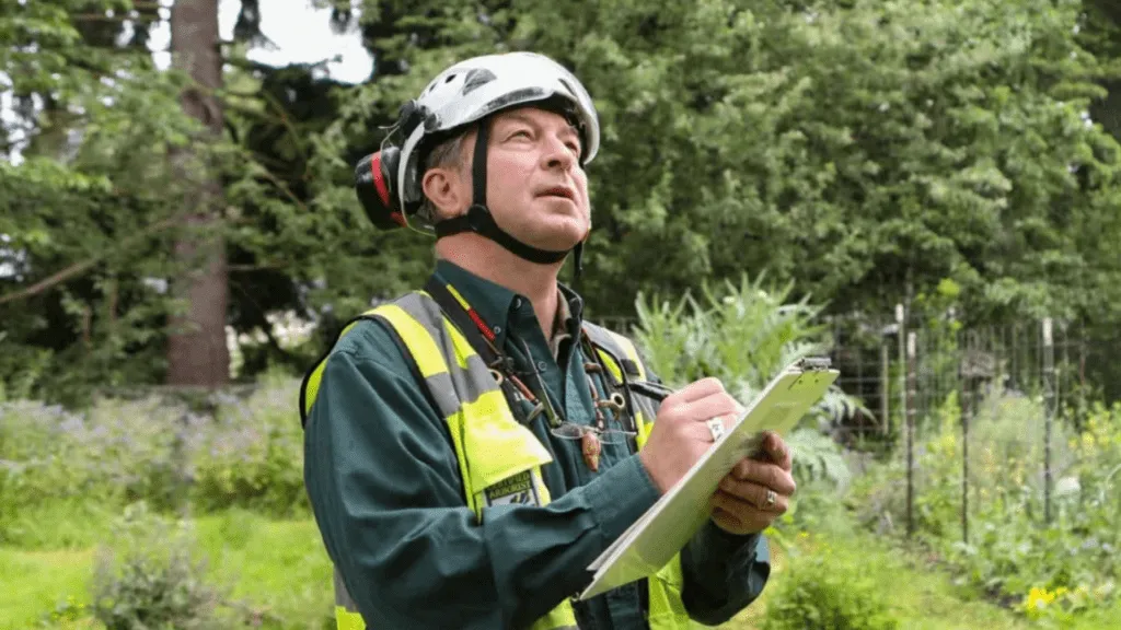 1 commercial tree services