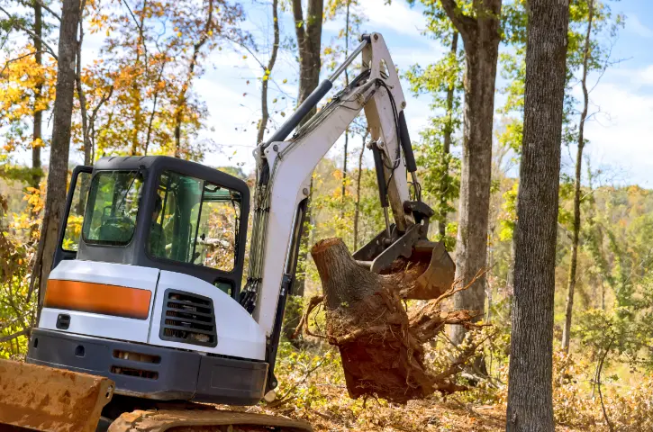 106 tree trimming Jackson