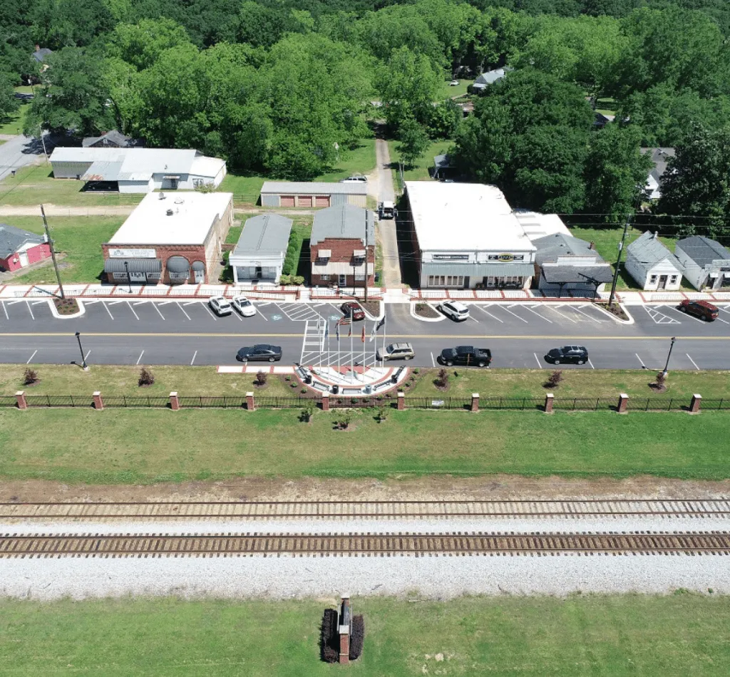 BogartGA tree removal syracuse ny