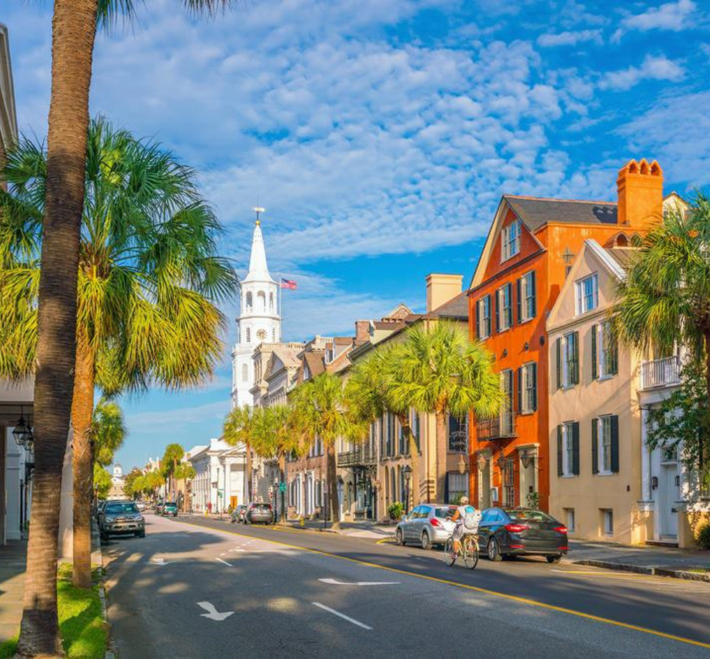 Charleston SC Tree Services