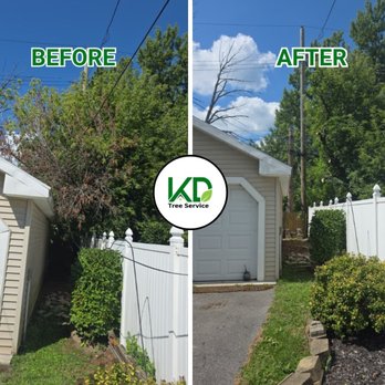KD Tree Service Albany NY