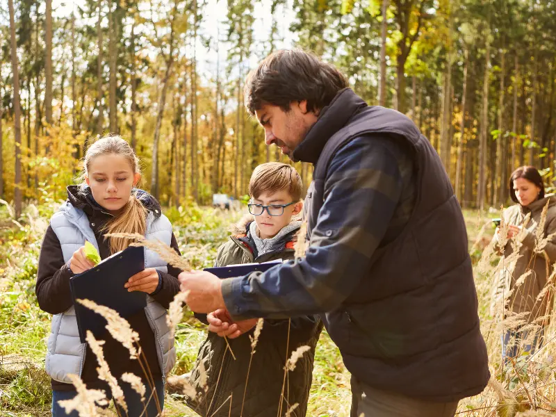What Is Arboriculture?