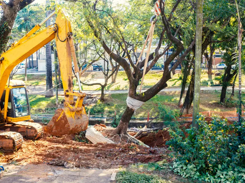 Prevent Further Damage Post-Storm Buffalo