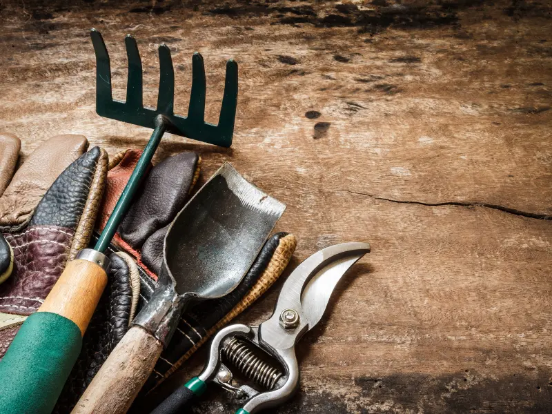 Tree Management Tools