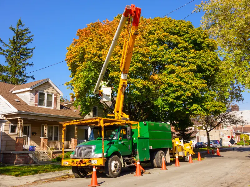 Prevent Further Damage Post-Storm Buffalo