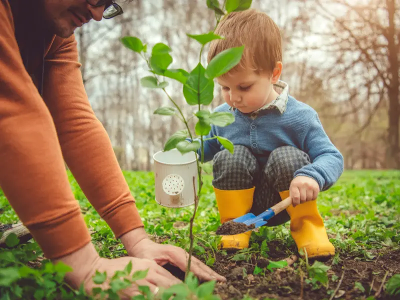 The Birth of Modern Arborology or the evolution of tree care industry