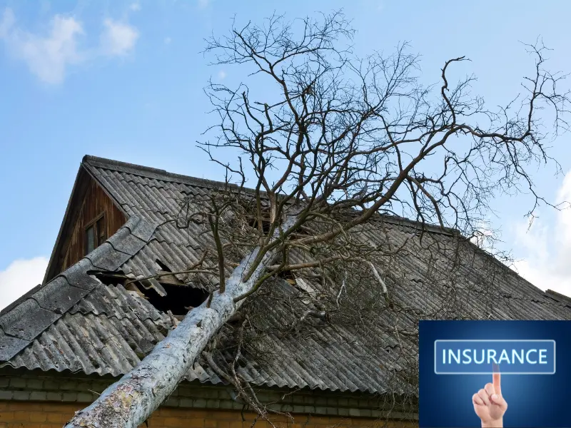 Insurance and Emergency Tree Services