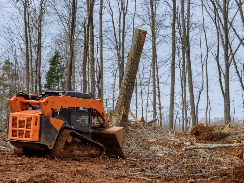Tree removal in tight space