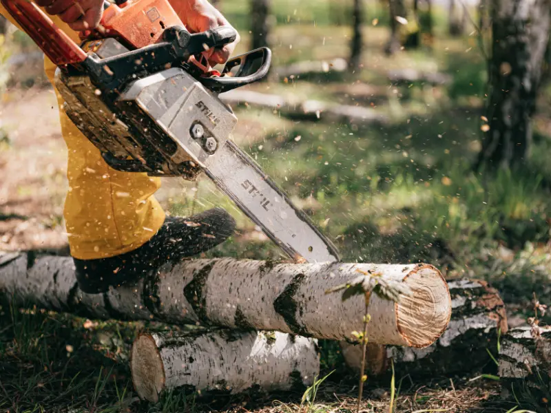 Emergency Tree Removal Buffalo
