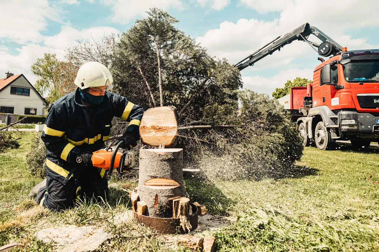 After removal cleaning A Complete Guide to Tree Removal in Erie