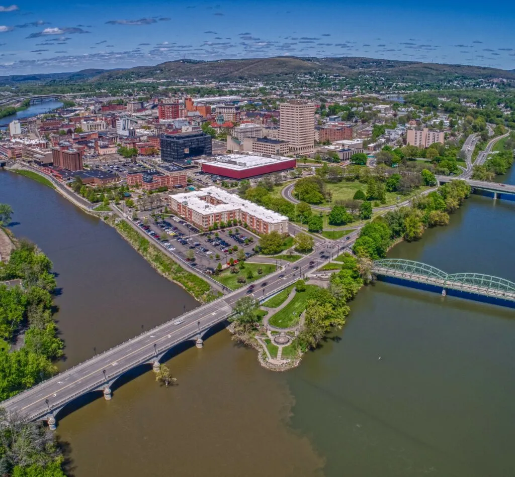 Binghamton New York Tree Services