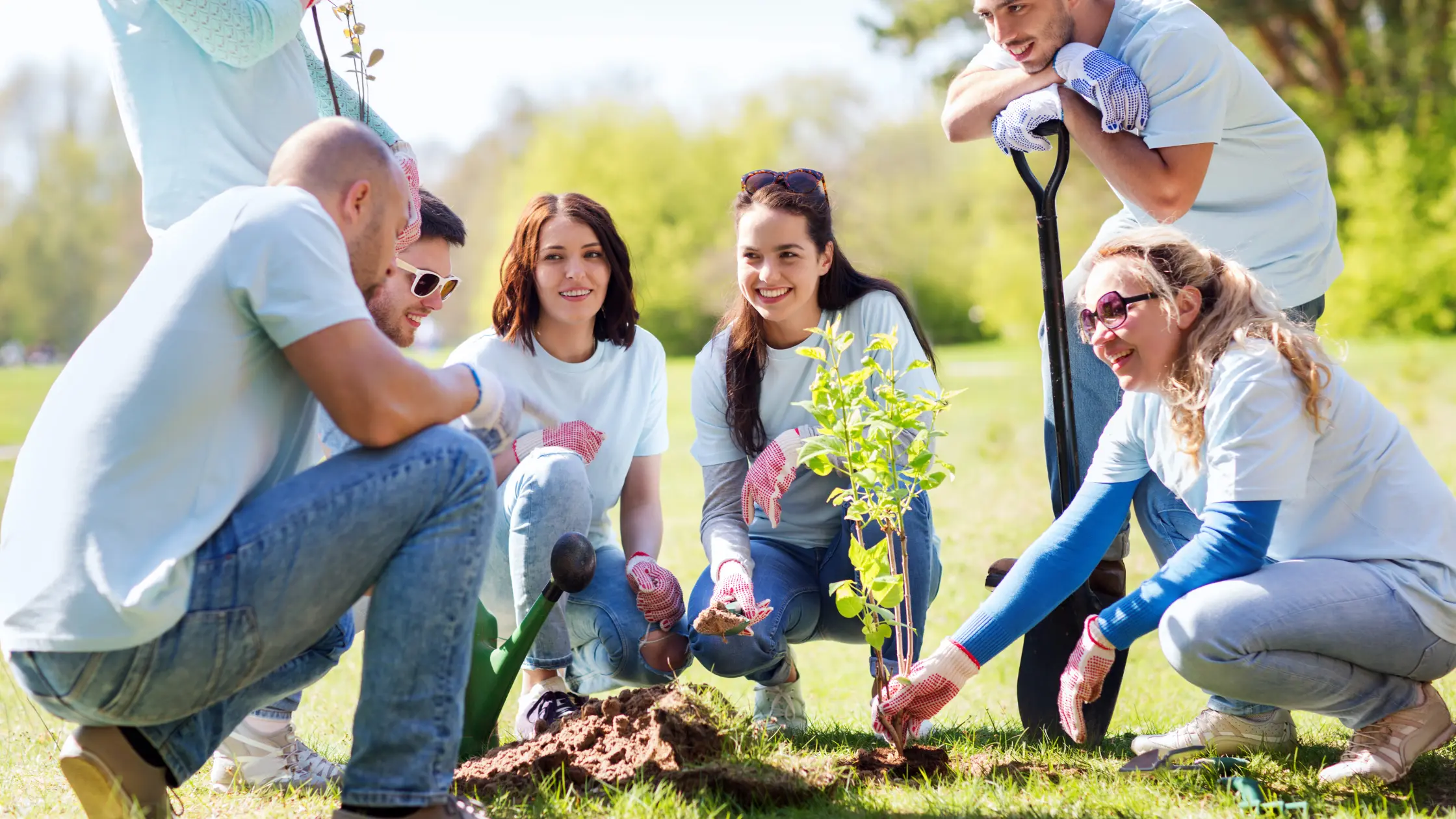 Tree Health Evaluation