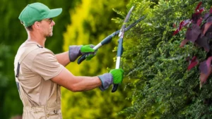 The Pros and Cons of Different Tree Pruning Techniques