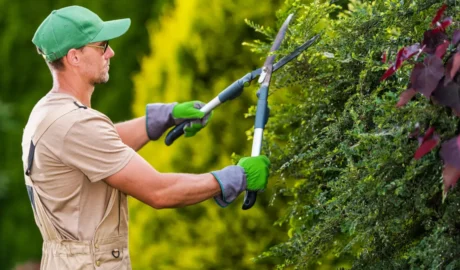 The Pros and Cons of Different Tree Pruning Techniques