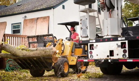 Emergency Tree Services in Syracuse, NY: What You Need to Know