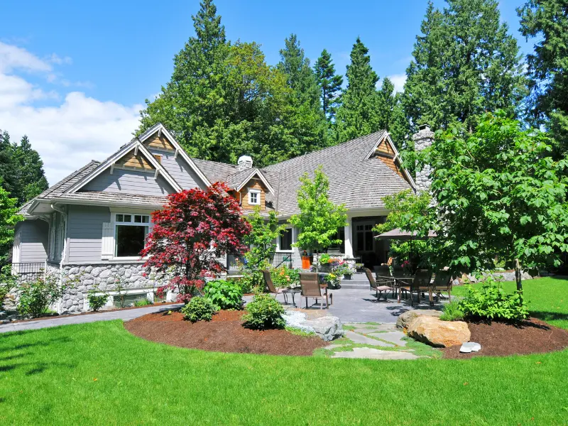 Year-Round Tree Maintenance Tips for Buffalo Homeowners