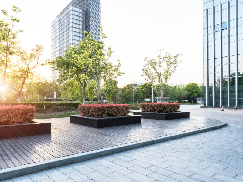The Value of Commercial Tree Services