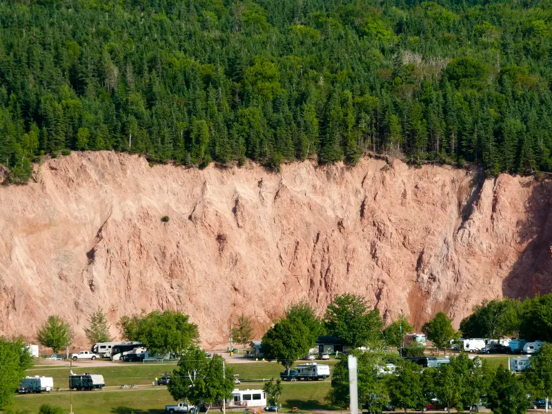 Albany’s Weather Challenges and Tree Risk Factors