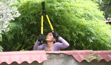 Why Regular Tree Pruning Is Important for Property Safety