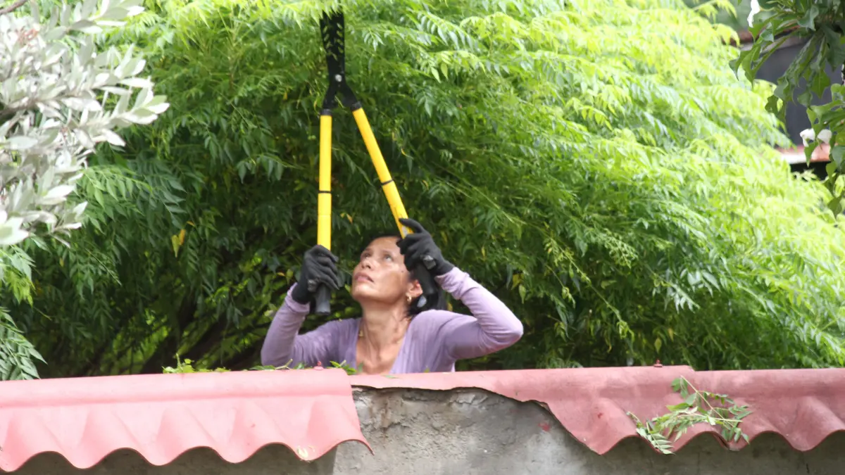 Why Regular Tree Pruning Is Important for Property Safety
