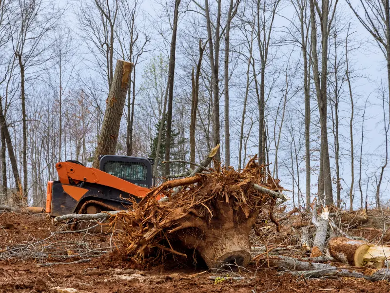 Benefits of Land Clearing for Property Owners