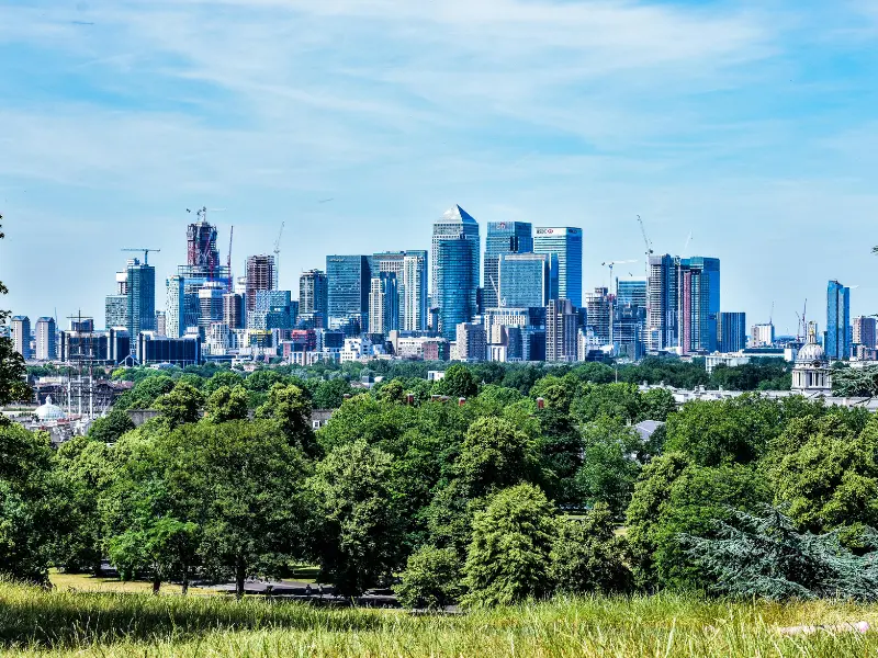 Importance of Trees in Urban Landscapes