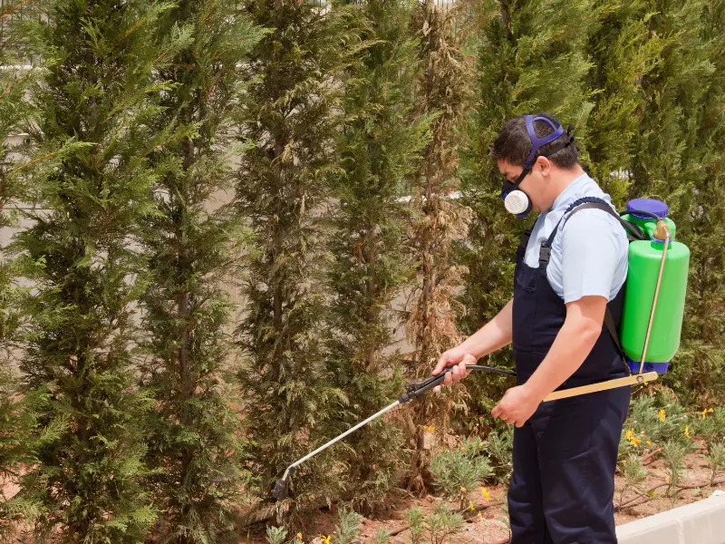 Major Tree Pests Impacting Agriculture in McKean