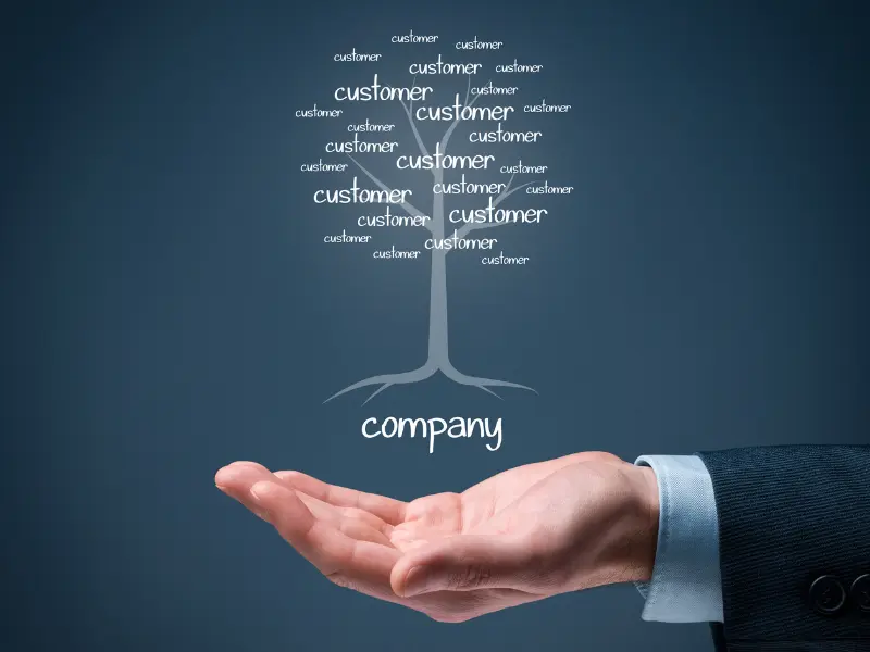 What to Look for in a Tree Company in Westfield, NY
