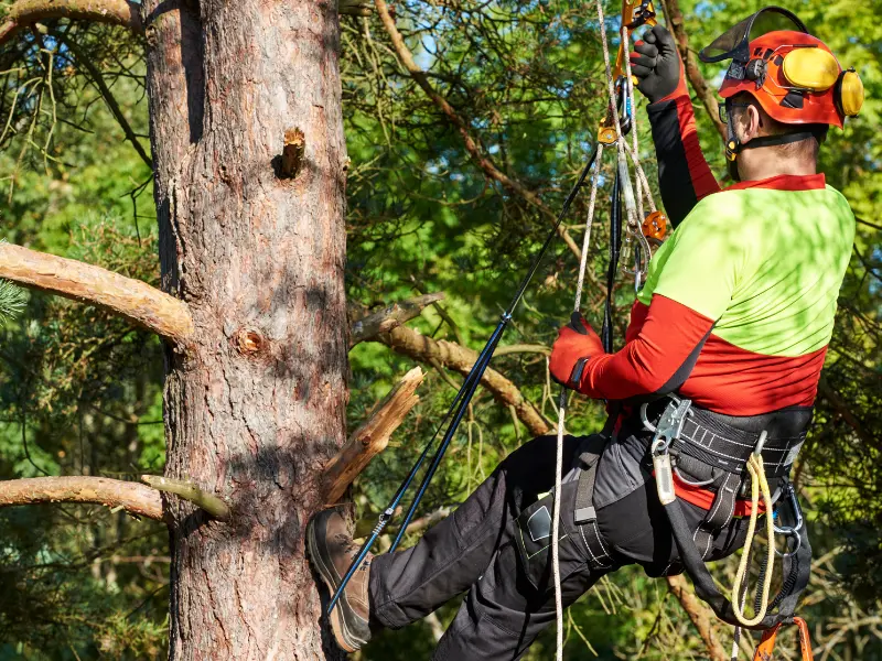 Prevent Further Damage After Albany Storms