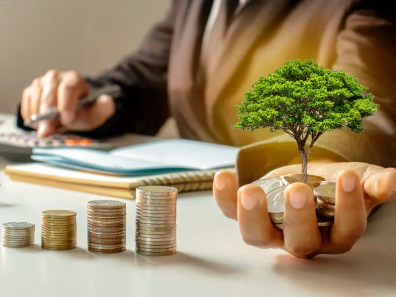 FAQ 1: How Much Does Tree Removal Cost?