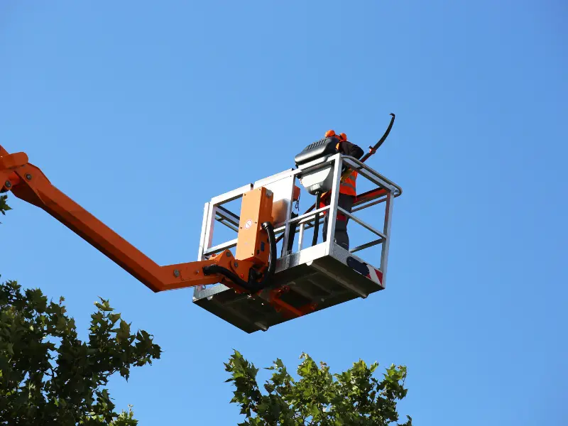 Common Emergency Tree Situations in Fairview’s Stormy Weather