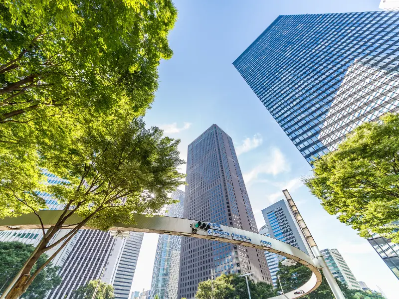 How Trees Improve Air Quality in Urban Areas