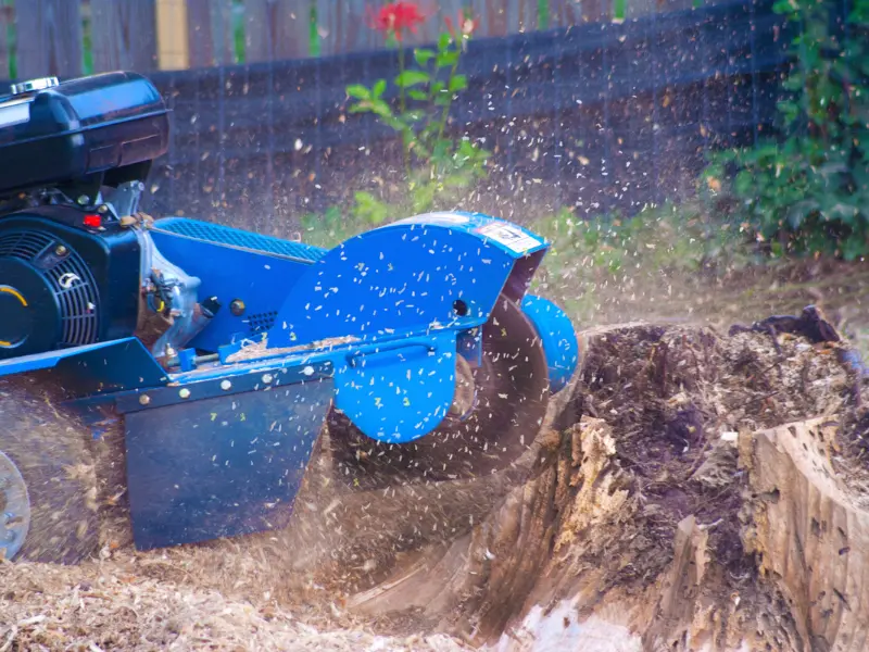 Key Benefits of Stump Grinding