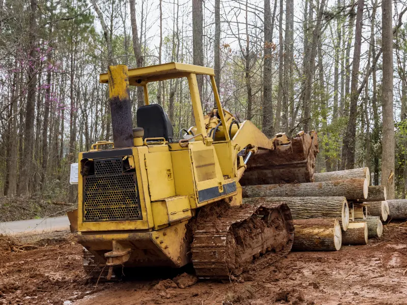 Hazardous tree removal Fairview