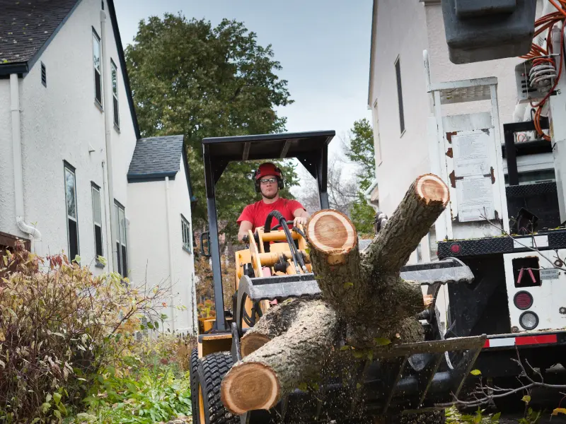 The Advantages of Hiring a Reliable Tree services in Waterford PA