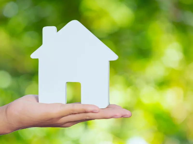 Storm-Proofing Trees for Home Protection