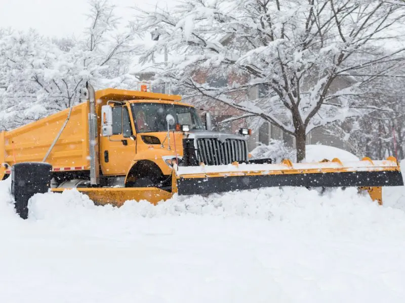 Step-by-Step Guide to Storm Tree Removal in Jackson