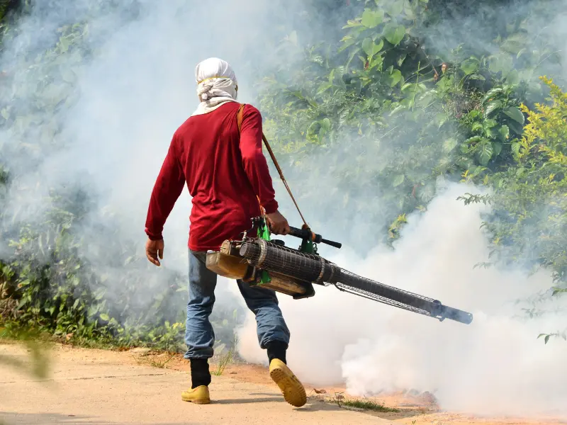 Natural Pest Control and Disease Prevention