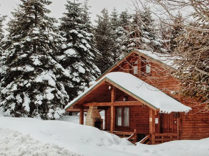 Tree Maintenance Tips for Property Safety During Winter