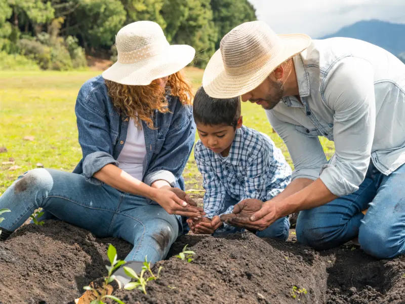 Finding an Eco-Conscious Arborist
