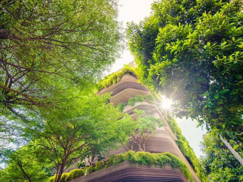 Winter Wraps and Protective Barriers: Shielding Trees Sustainably
