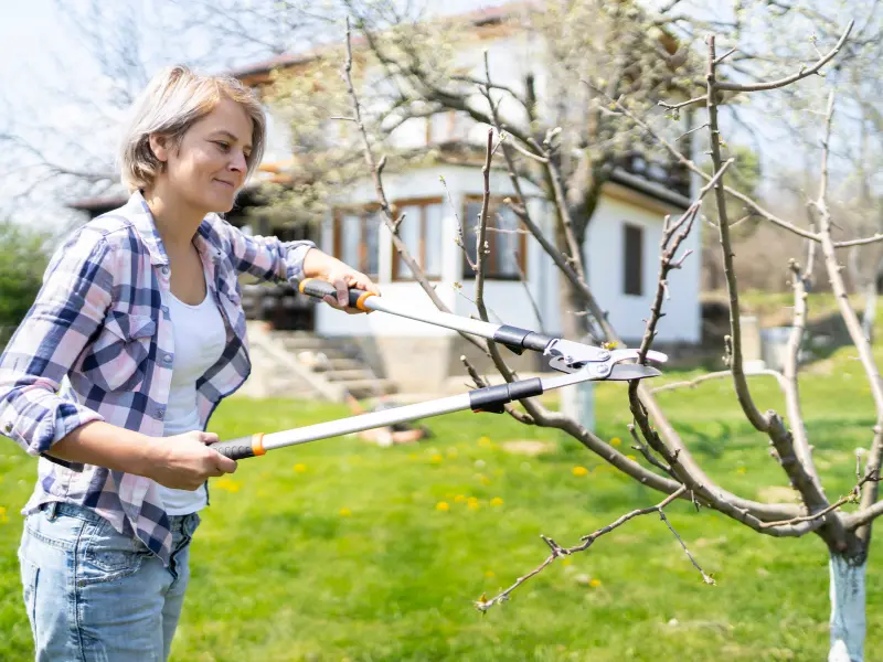 Rural tree care tips