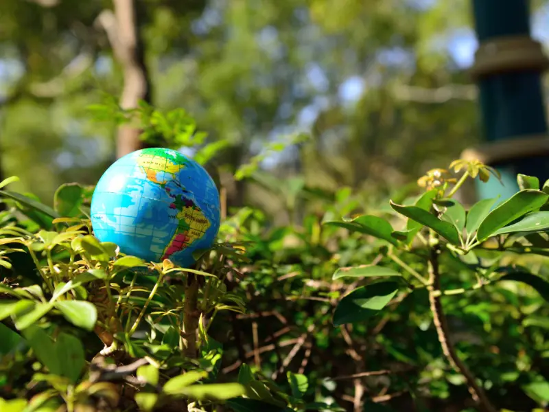 Best tree maintenance tips for Jackson, PA communities