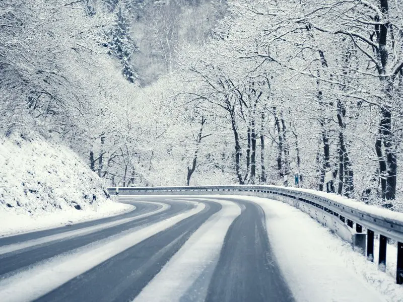 How to Protect Trees from Winter Snow in Jackson PA