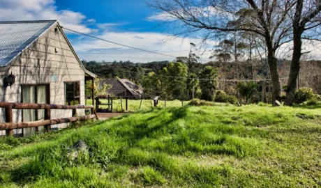 Cost-Effective Tree Removal for McKean’s Rural Properties