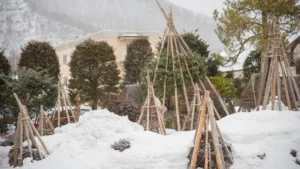 Winter Tree Protection for McKean’s Farm Areas