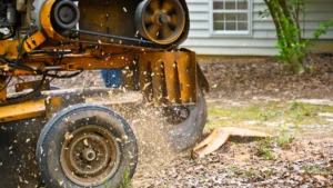 Emergency Tree Services for McKean’s Snowy Winters