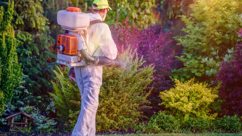 Treating Tree Pests in McKean’s Agricultural Zones